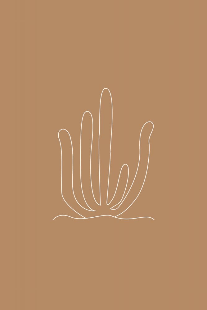 Desert Plant Lines by Karen Menzenbach — canvas wall art