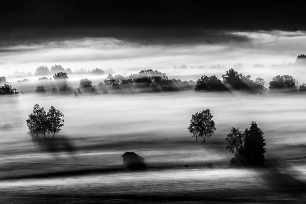 Misty Morning Landscape by Nina Pauli — canvas wall art
