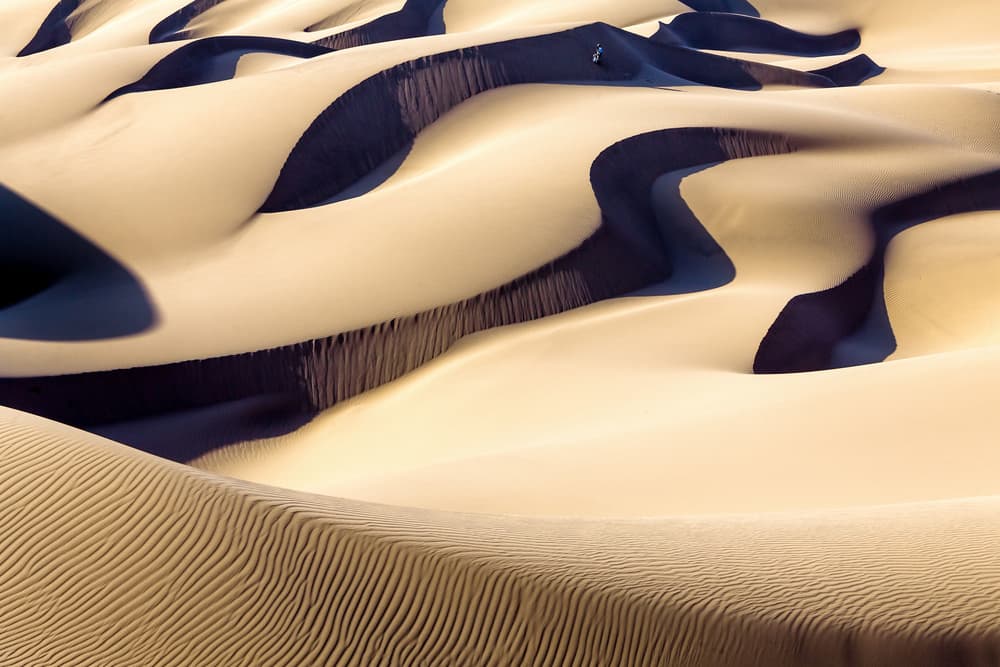 Golden Desert Shadows by Mohammadreza Momeni — canvas wall art