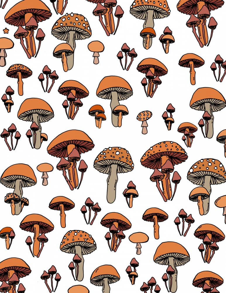 Mushrooms Cute Pattern by Nicholas — canvas wall art