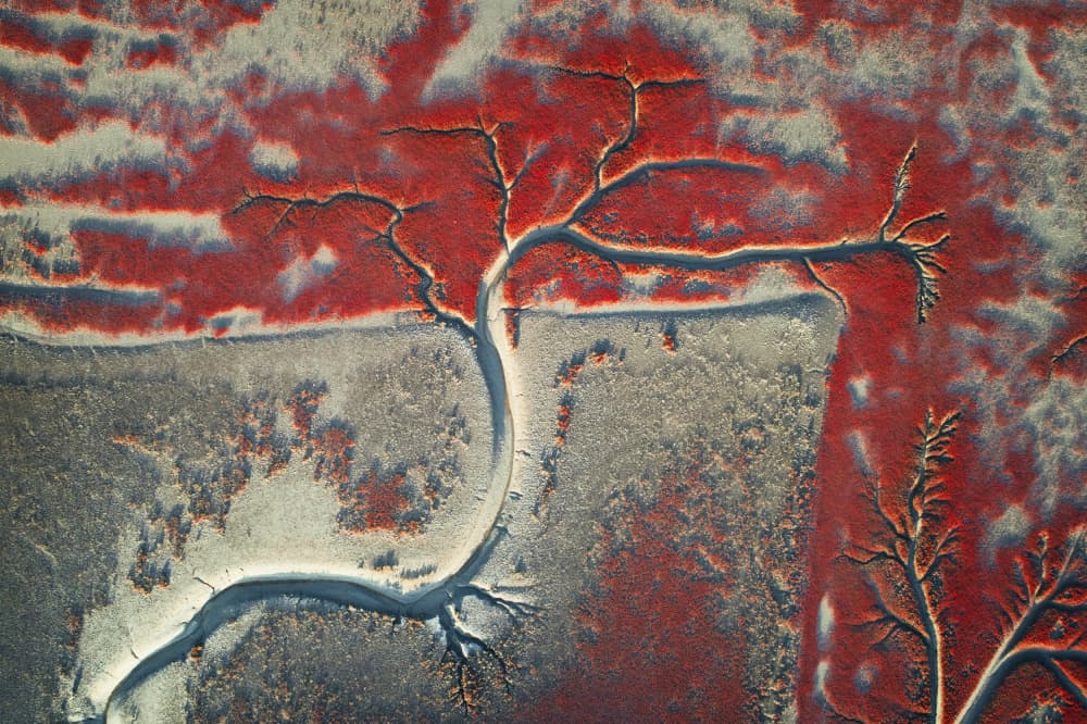 Abstract Red Marsh by Zhou Chengzhou — canvas wall art