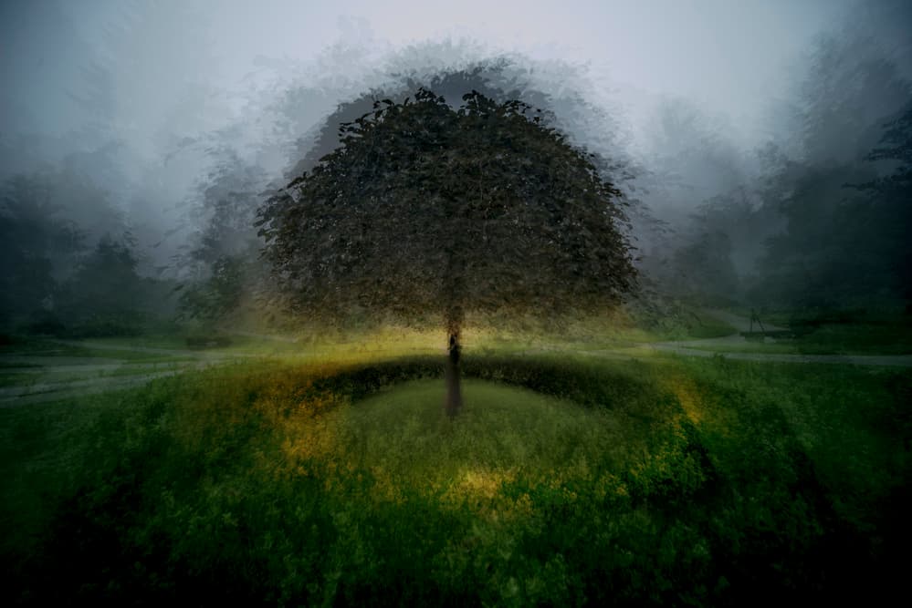 Dreamy Lone Tree by Milan Malovrh — canvas wall art