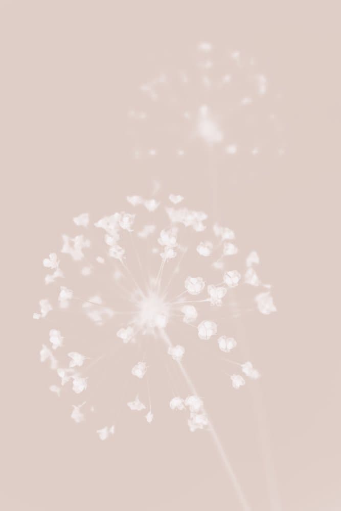 Dreamy Pastel Flowers by Pictufy Studio III — canvas wall art