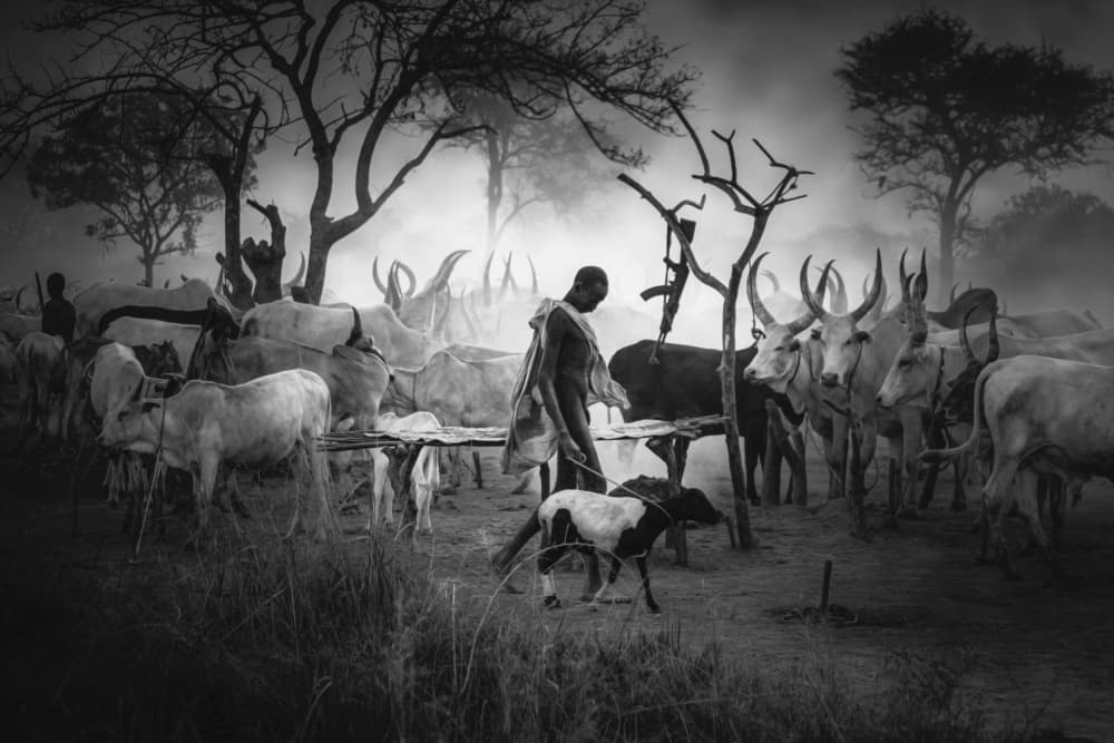 Dinka Cattle Herder by Svetlin Yosifov — canvas wall art