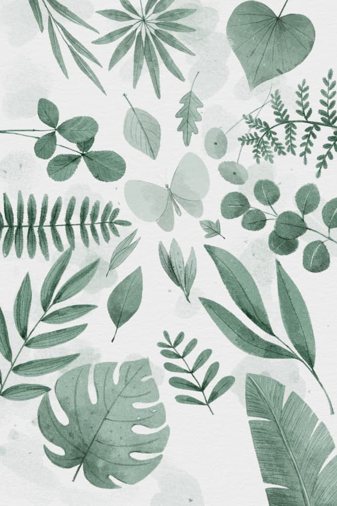 Botanical Leaves Butterfly by Xuan Thai — canvas wall art