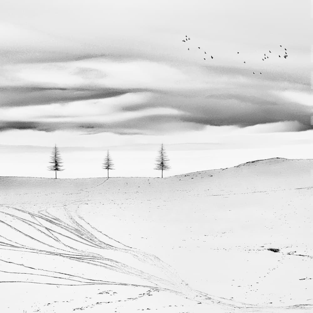 Winter Trees and Birds by Marchevca Bogdan — canvas wall art