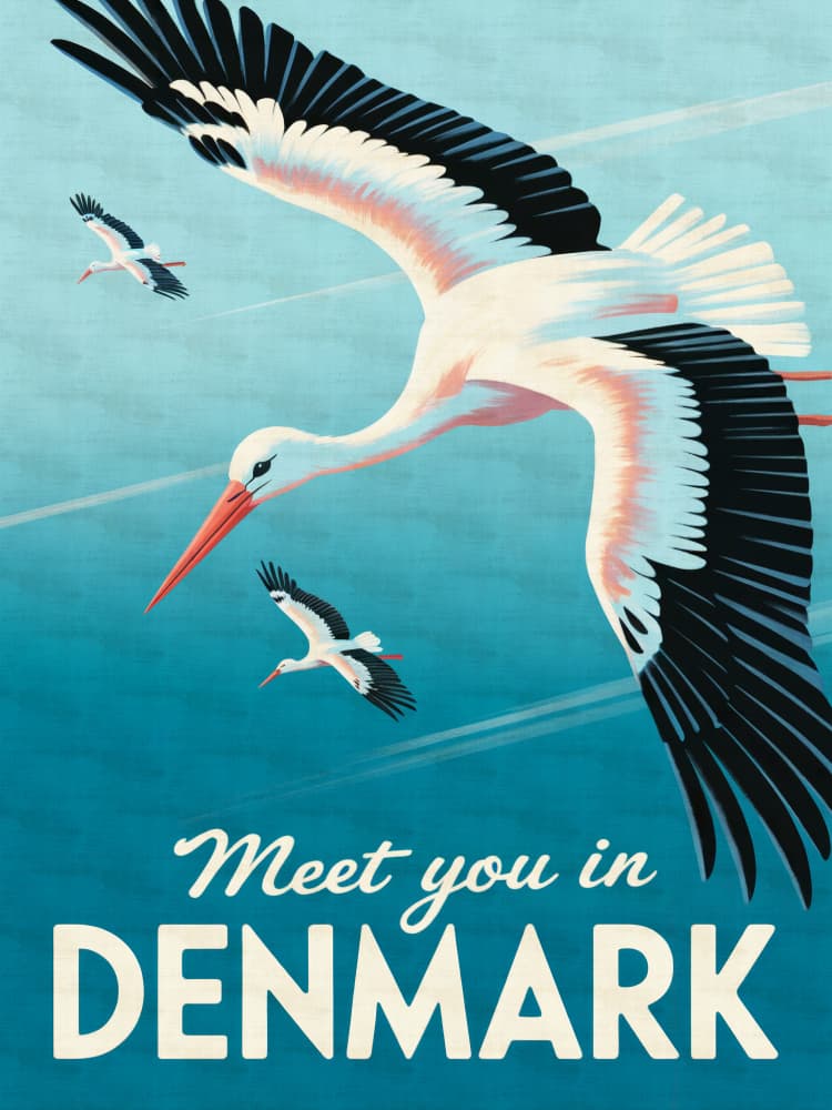 Flying Storks Denmark by Andreas Magnusson — canvas wall art