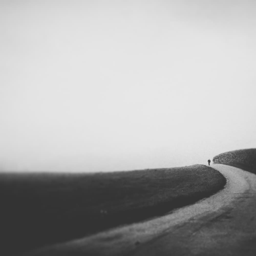 Path Into The Mist by Renate Wasinger — canvas wall art