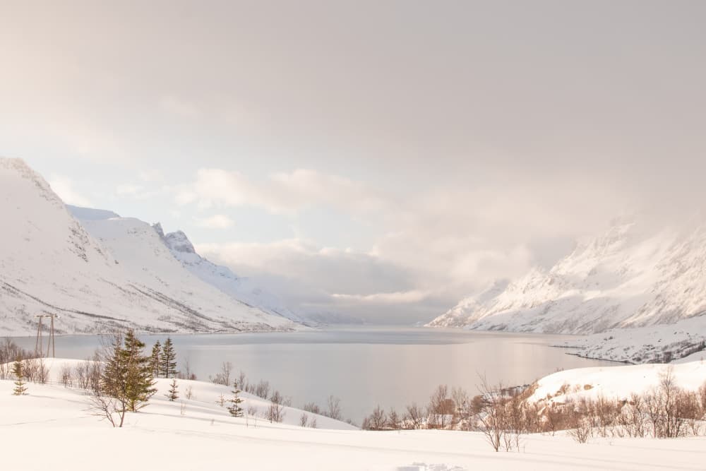 Serene Winter Fjord by Henrike Schenk — canvas wall art