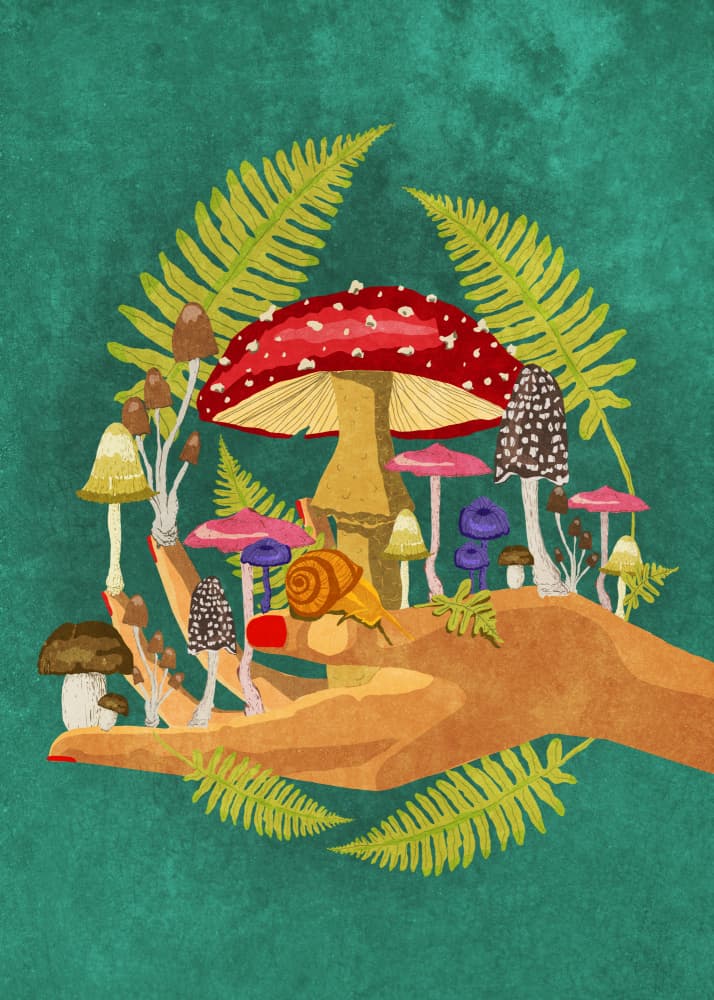 My Mushroom Cosmos by Raissa Oltmanns — canvas wall art