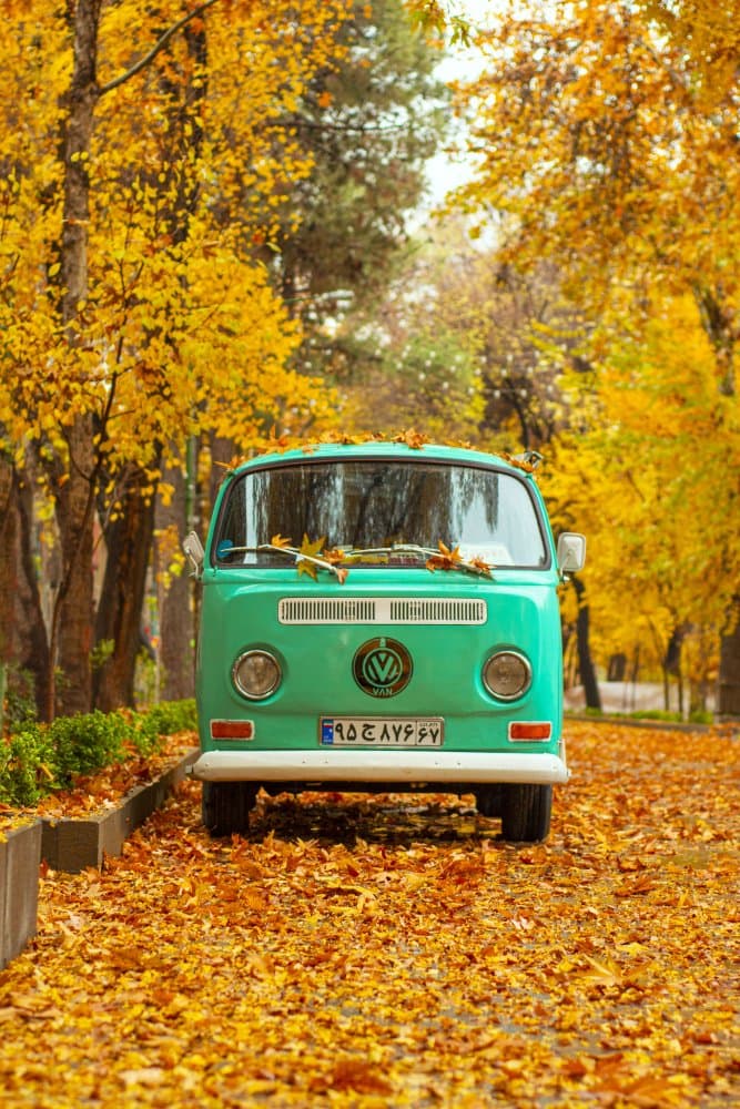 Green Van Autumn Road by keivan.khatami — canvas wall art