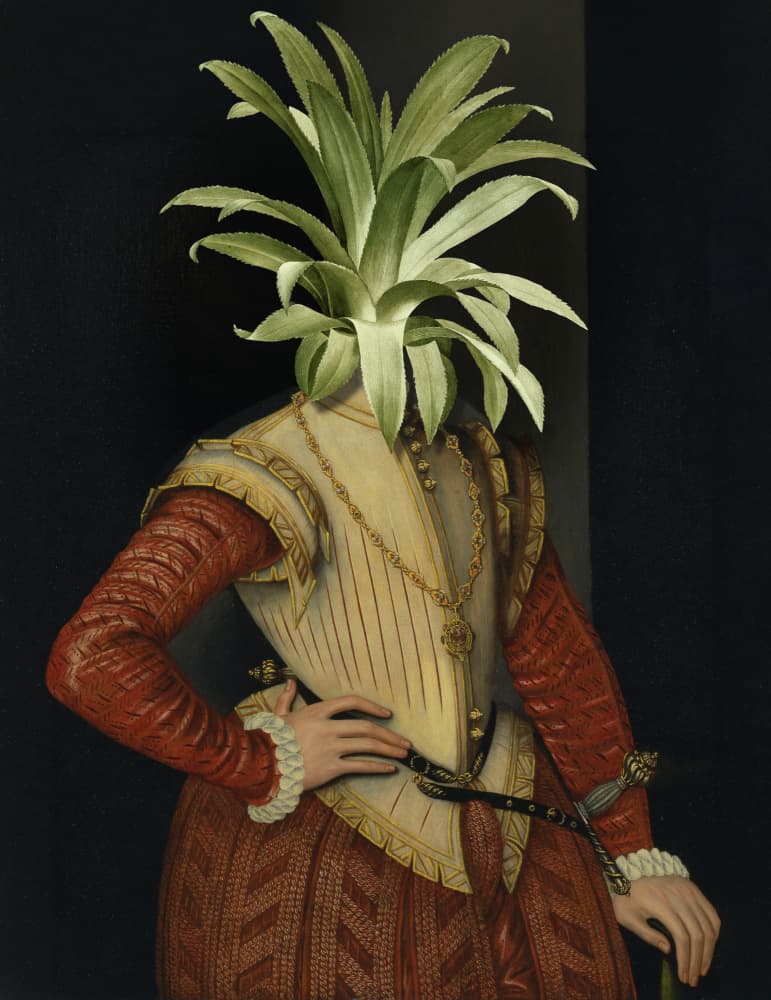 Surreal Pineapple Portrait by Marja van den Hurk — canvas wall art