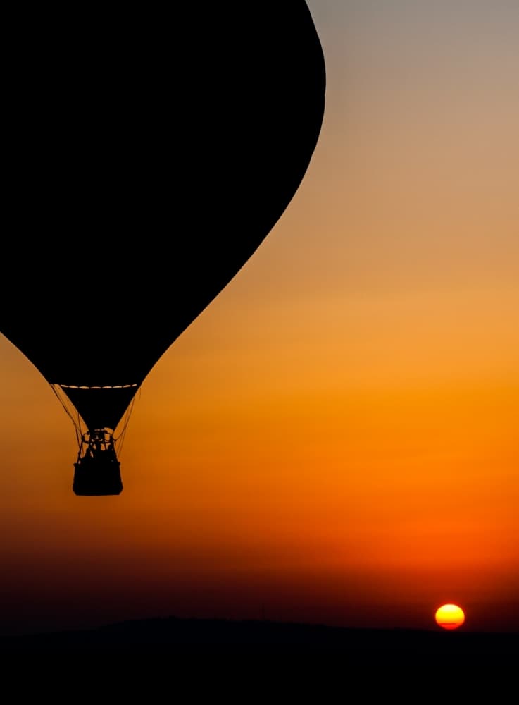 Soaring Sunset Silhouette by Tomer Eliash — canvas wall art