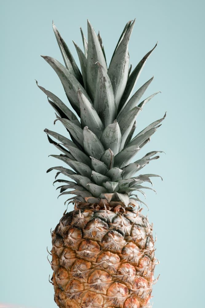 Fresh Tropical Pineapple by Pictufy Studio III — canvas wall art