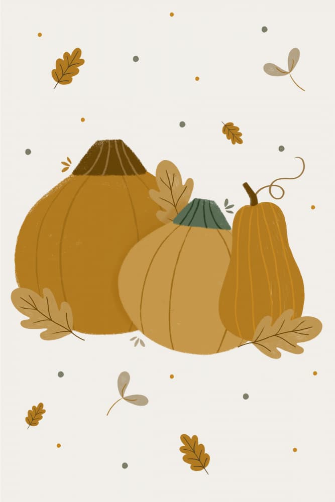 Autumn Pumpkins and Leaves by Menina Lisboa — canvas wall art