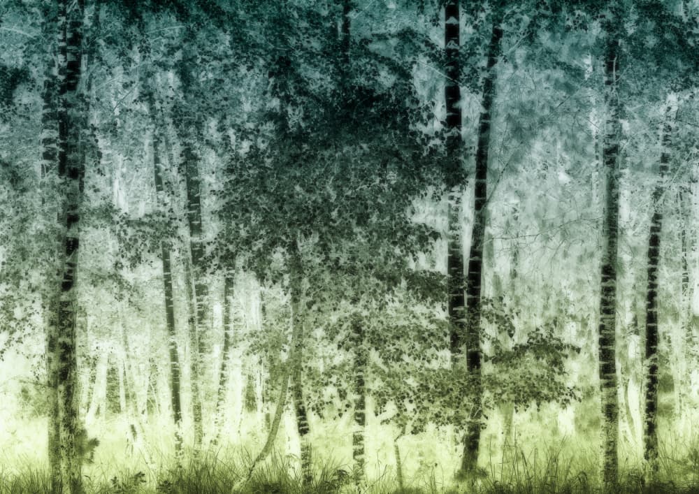 Ethereal Birch Forest by Ria Groot Zevert — canvas wall art