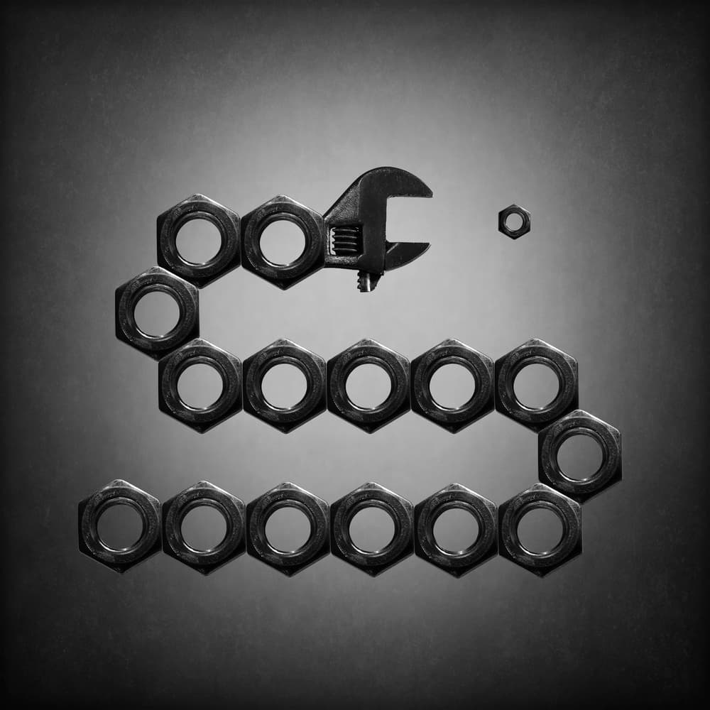 Wrench Nut Serpent by Victoria Glinka — canvas wall art