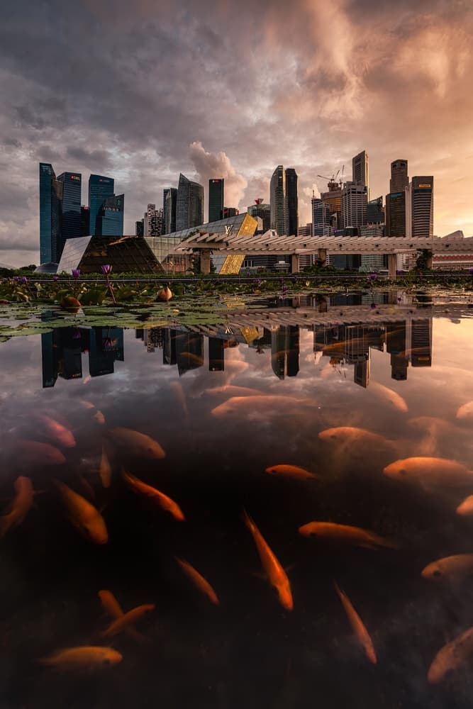 Sunset City Fish Reflection by Ye Naing Wynn — canvas wall art