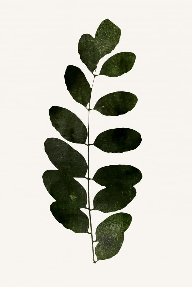 Ink Print No.24 by Kubistika — canvas wall art