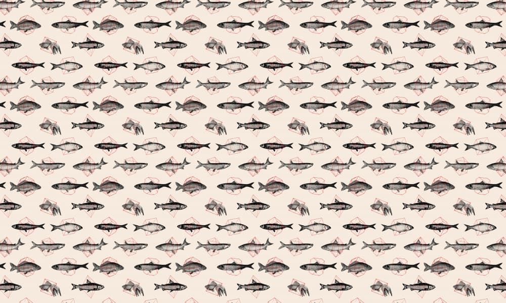 Watercolor Fish Pattern by Florent Bodart — canvas wall art