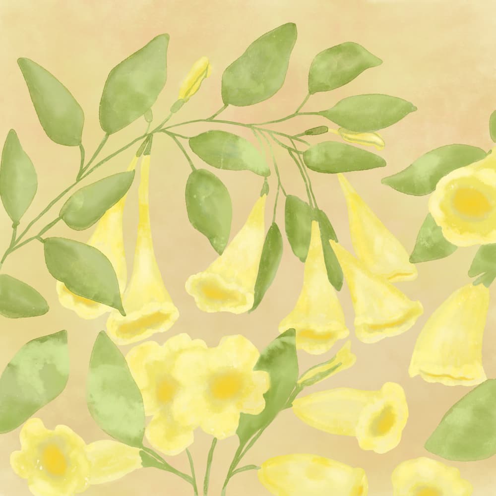 Watercolor Yellow Flowers by Aliya Putrus — canvas wall art