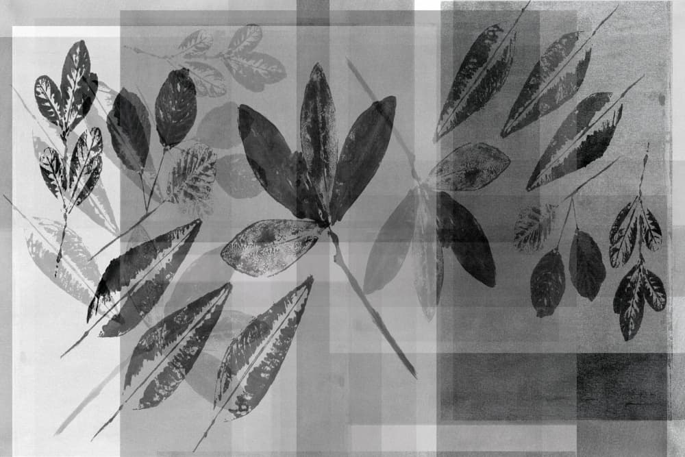 Monochrome Botanical Layers