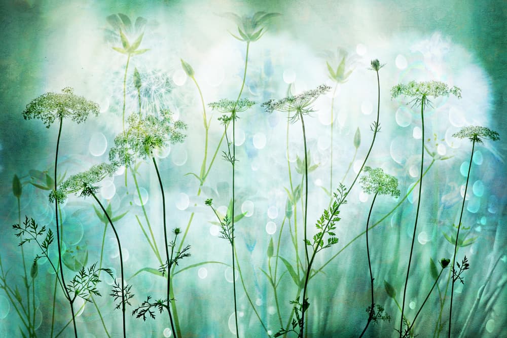 Ethereal Green Garden by Hilda van der Lee — canvas wall art