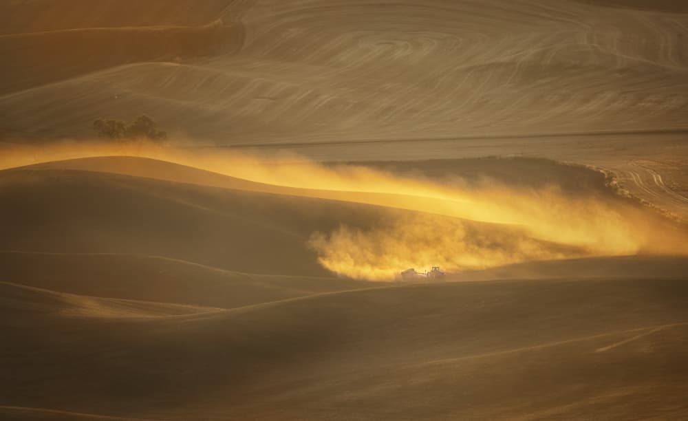 Rolling Hills Golden Dust by Lisa D. Tang — canvas wall art