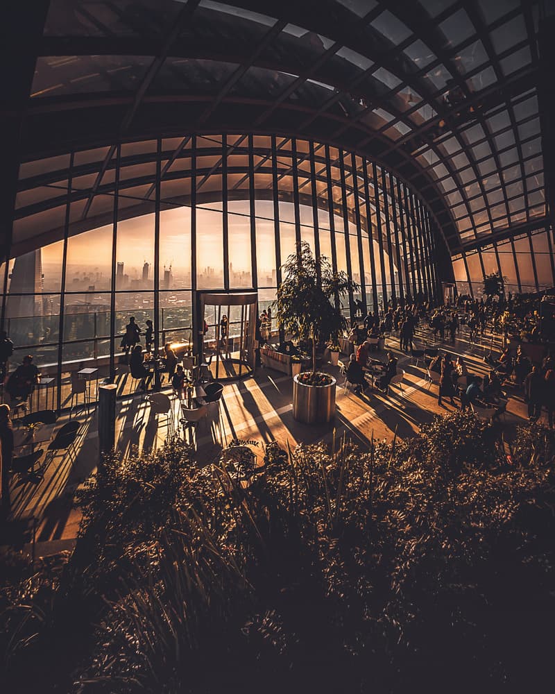Golden Hour City Garden by David George — canvas wall art