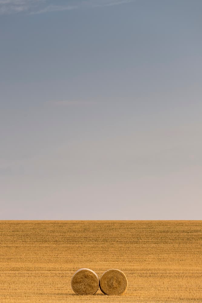 Golden Field Hay Bales by TONY GORAN — canvas wall art