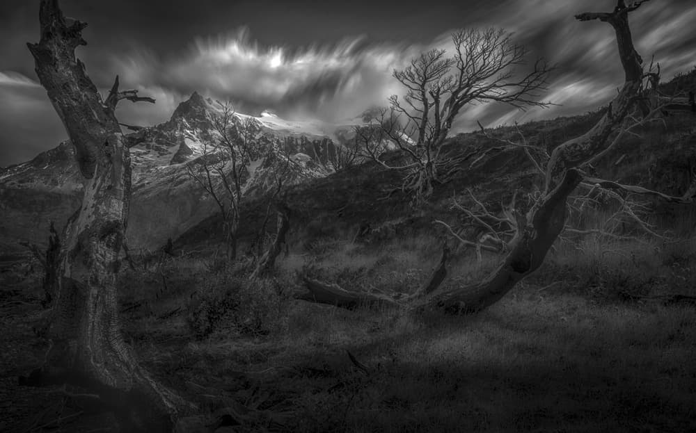 Stark Mountain Wilderness by Peter Svoboda MQEP — canvas wall art