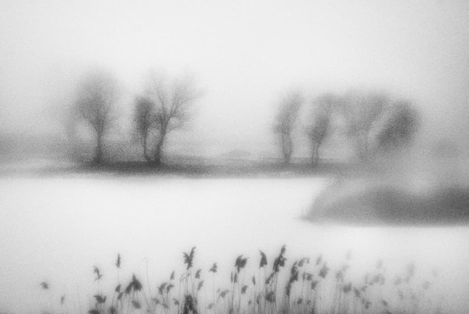 Dreamy Winter Morning by Codrin Lupei — canvas wall art