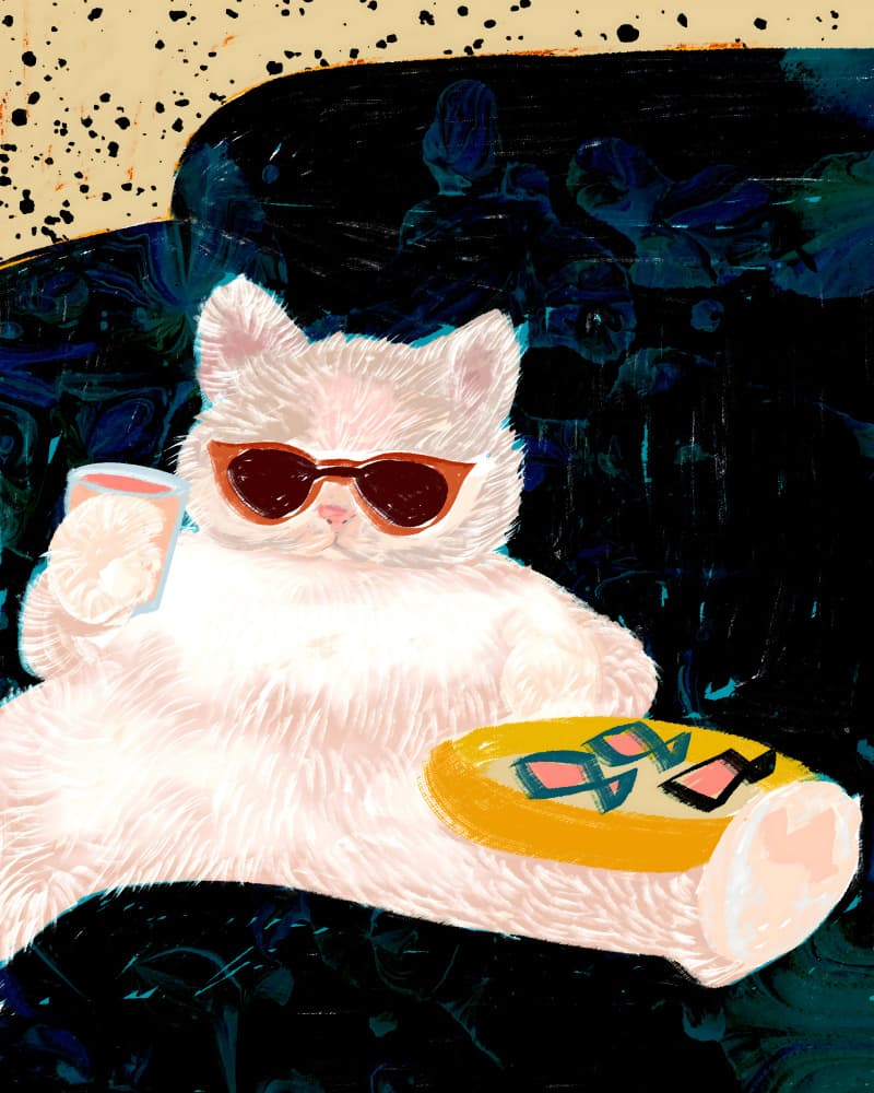 Cool Cat's Lounge Life