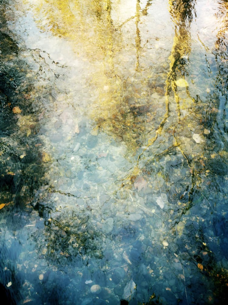 Autumn Water Reflections by Angelo Cerantola — canvas wall art