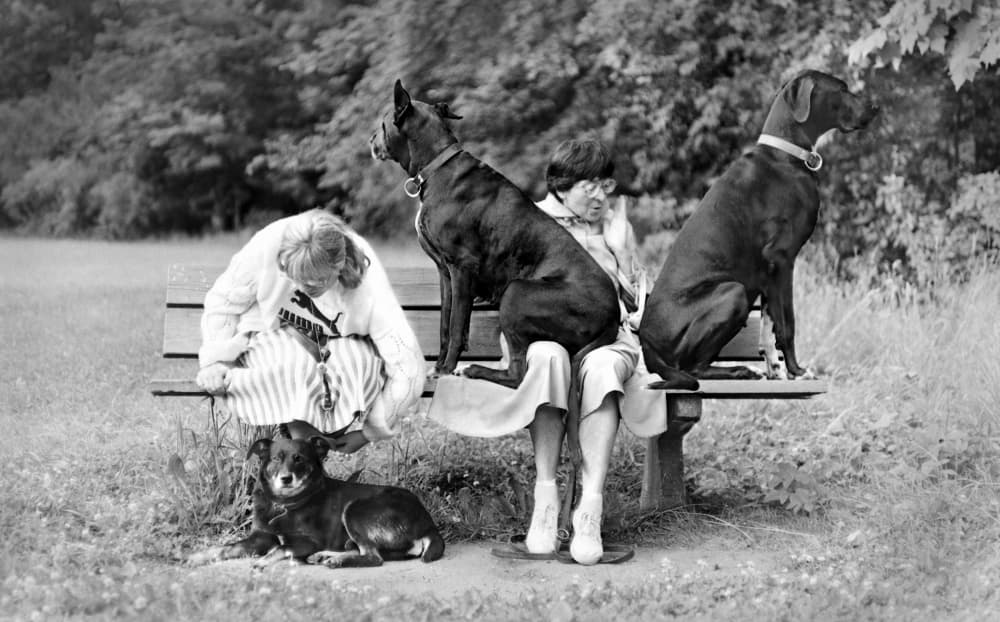 Park Companions and Dogs by Jacek Stefan — canvas wall art