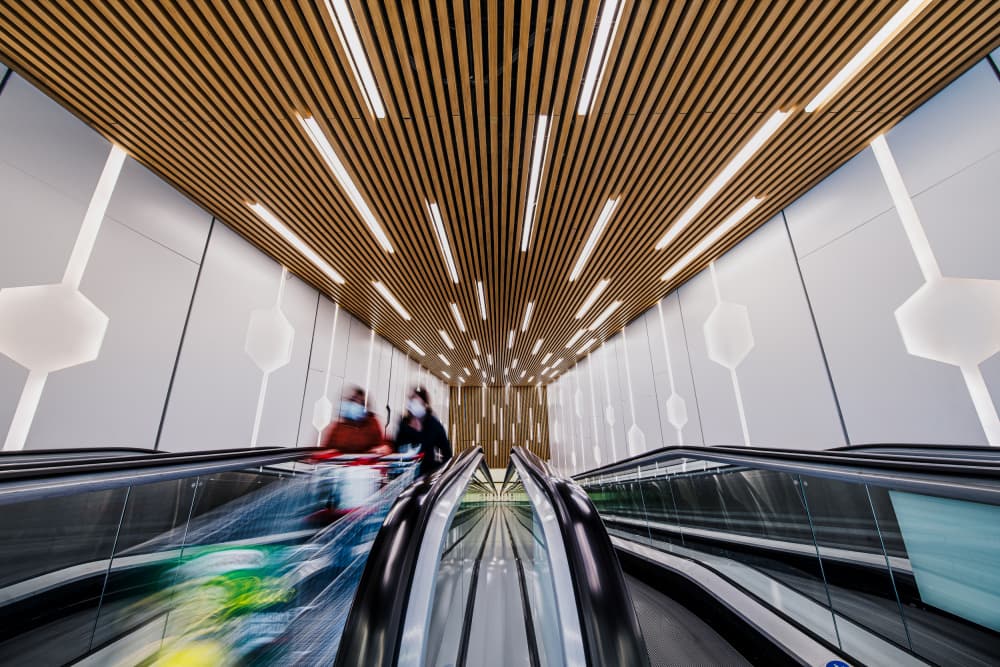 Quick shopping by Marco Tagliarino — canvas wall art