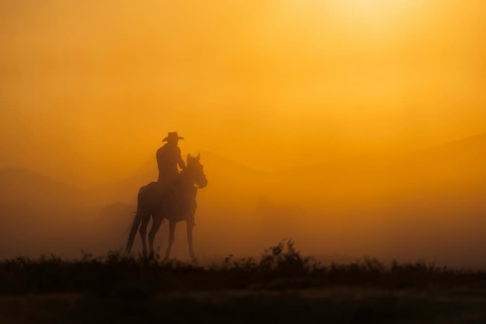Golden Hour Cowboy by Yavuz Pancareken — canvas wall art