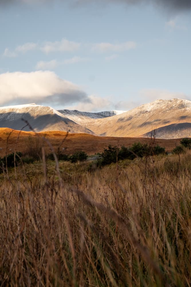 Highlands by Mareike Böhmer — canvas wall art