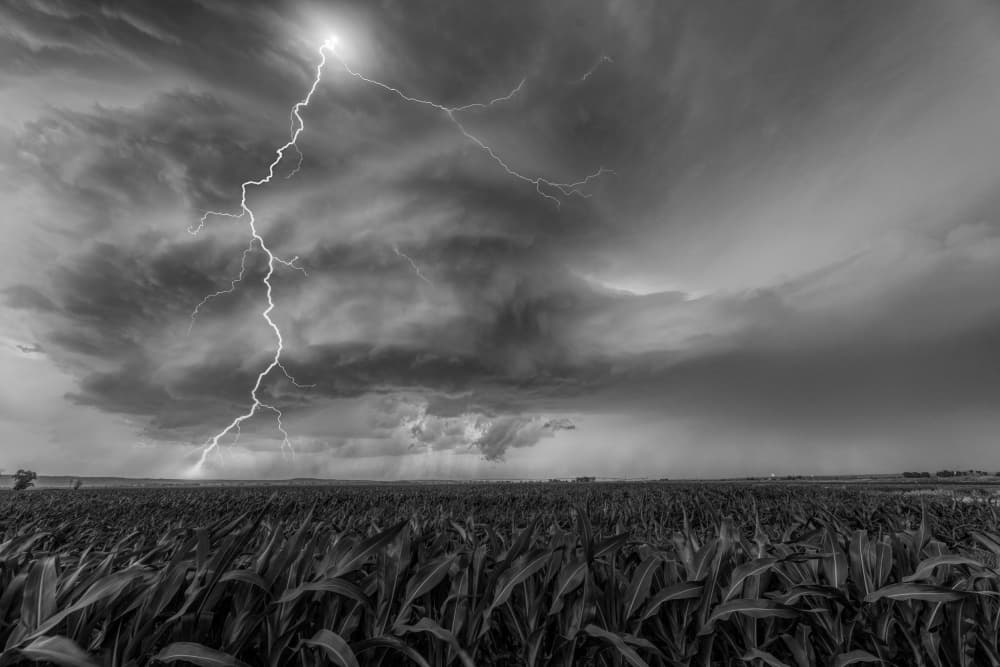 Dramatic Lightning Strike by Jun Zuo — canvas wall art