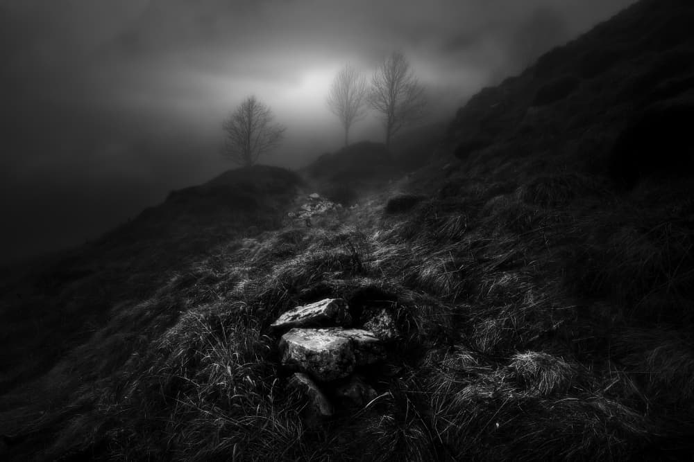 Misty Mountain Path by Filippo Manini — canvas wall art