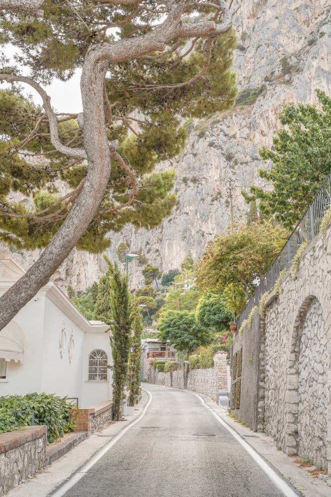 Mediterranean Cliff Road by Henrike Schenk — canvas wall art