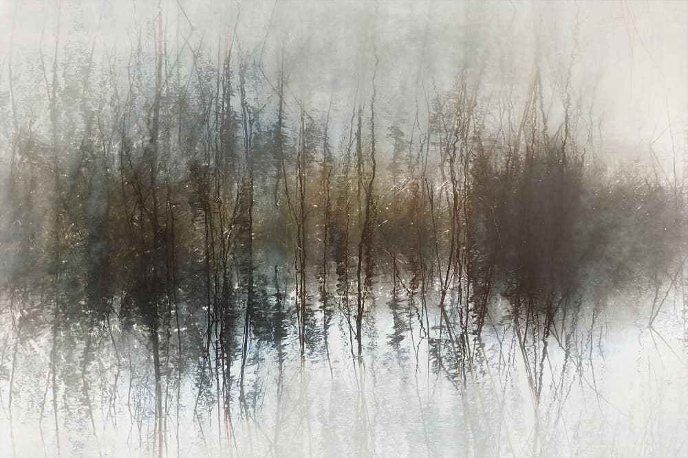 Day dreams by Nel Talen — canvas wall art