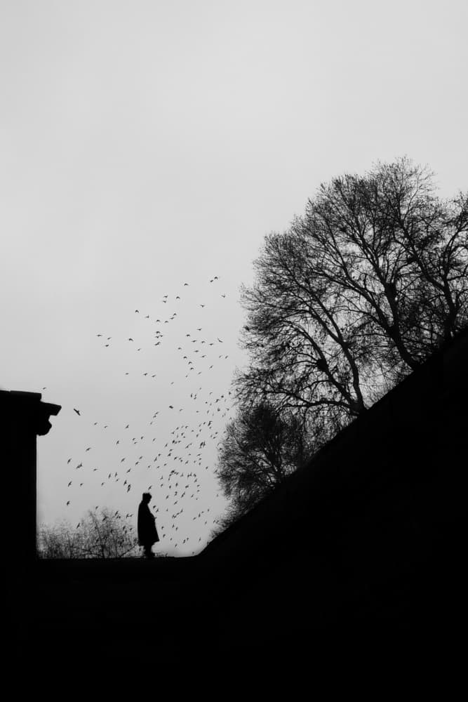 Figure Amidst Birds by Hammad — canvas wall art