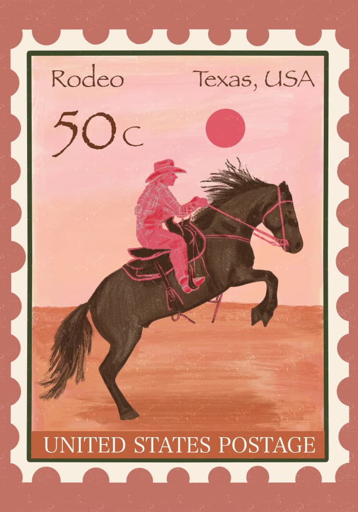 Texas Rodeo Rider