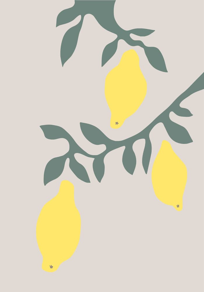 Fresh Lemon Branches by Pictufy Studio II — canvas wall art