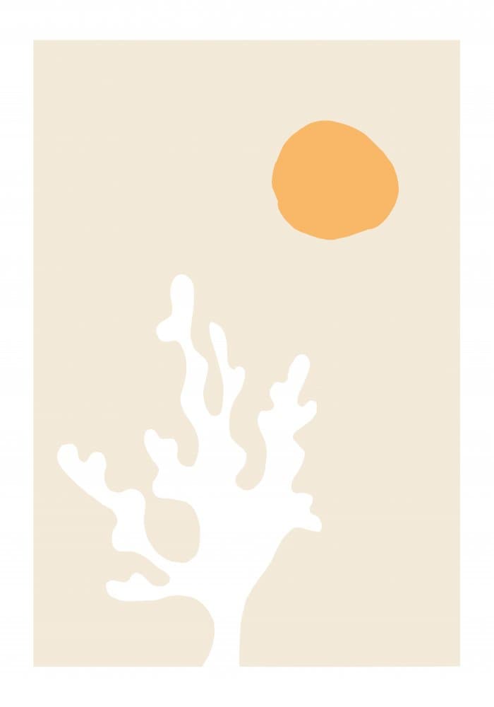 Warm Sun Coral by Pictufy Studio II — canvas wall art