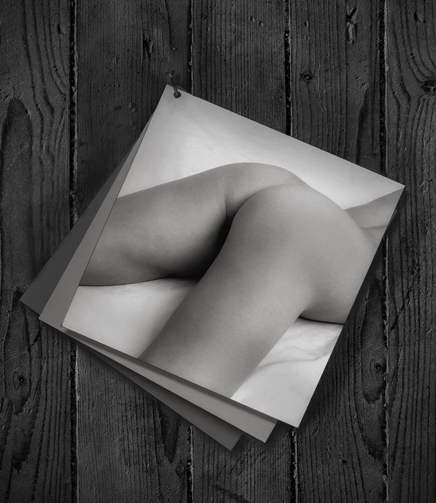 Sensual Feminine Form by Jan Donckers — canvas wall art