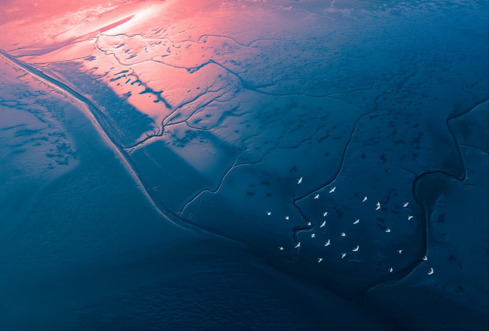 Flying Birds Tidal Glow by Songlin Xu — canvas wall art
