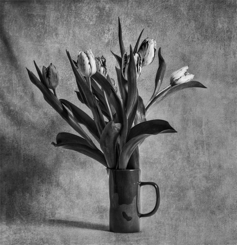 Classic Still Life Tulips by Derwood — canvas wall art