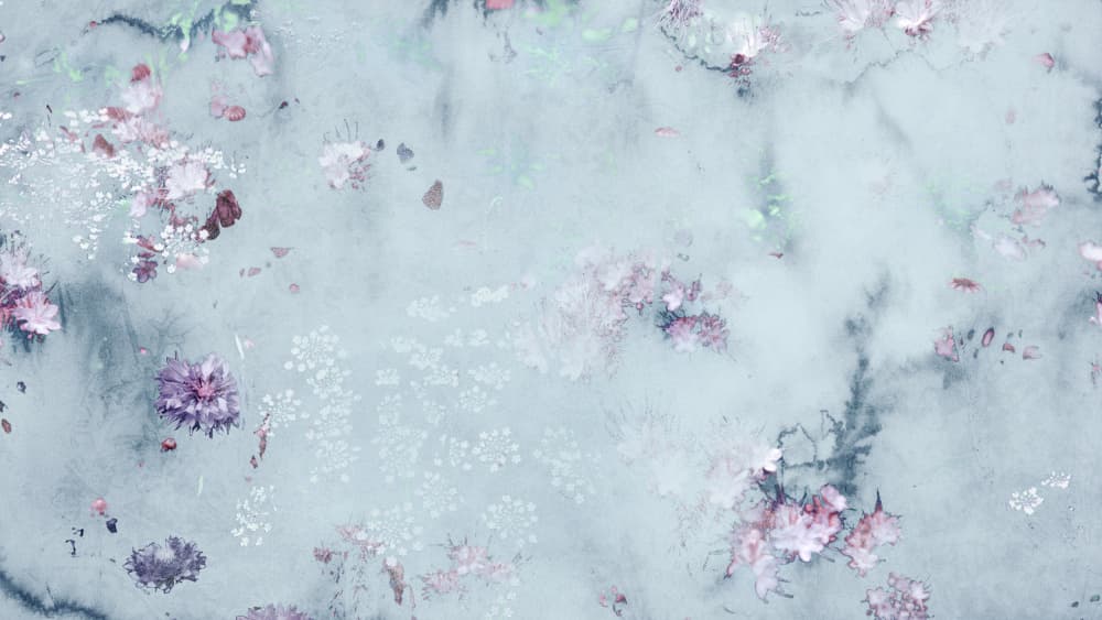 Dreamy Blossom Waters by Miriam Stayte — canvas wall art